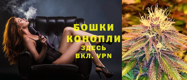 МДПВ Заводоуковск